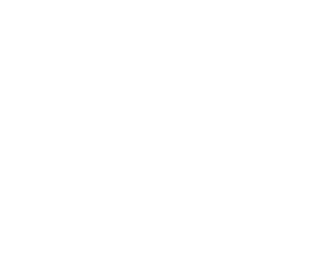 Evo